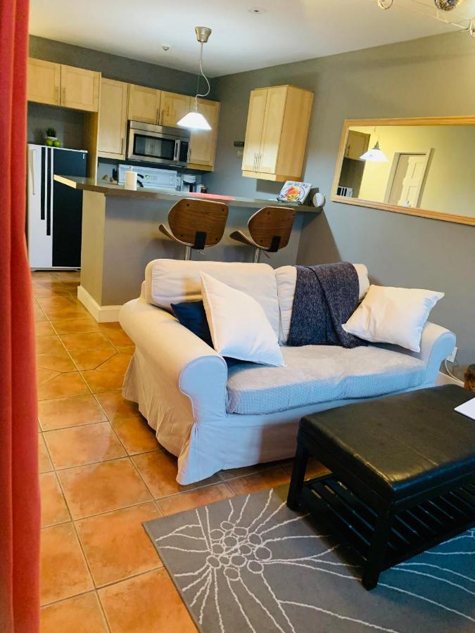 Condo Entier, Fully Equiped Pool And Spa Only In Summer Mont-Tremblant Extérieur photo